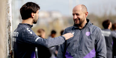 Europa-Ticket im Visier: Austria Wien fordert starke Hartberger