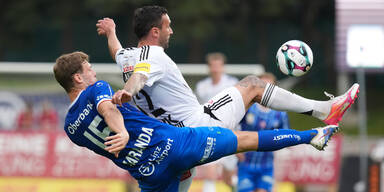 Showdown im Keller: Wölfe zittern vor dem Linzer Donaupark