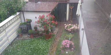 GartenRegen.jpg