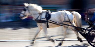 Pferde gingen durch: Kutscher verletzt