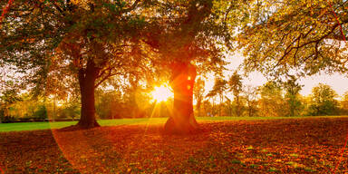 Bis zu 18 Grad: Der Saharastaub kommt wieder