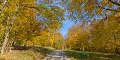 Herbst in Wien