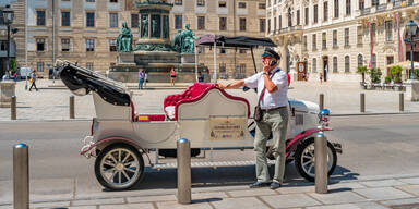 Verkehrsbremse E-Oldtimer: Bezirks-ÖVP fordert strengere Regeln