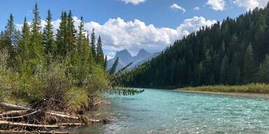 Fluss Enns