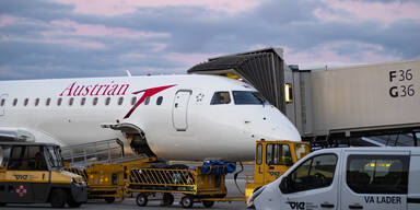 Abschiebe-Häftling rastet im AUA-Flieger nach Wien aus