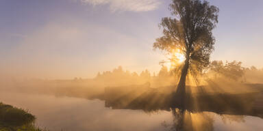 Bauernregel: "Ist’s am Josefitag klar, ..."