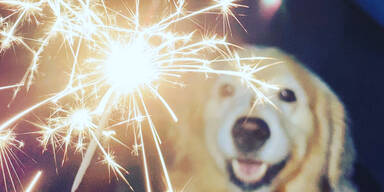 Böller-Alarm vor Silvester: Allianz warnt