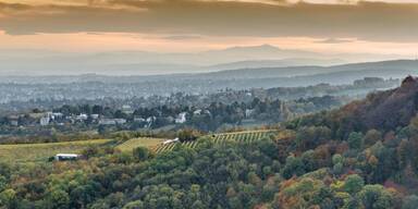 Wienerwald