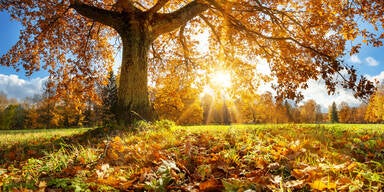 Bauernregel: "November warm und klar ..."