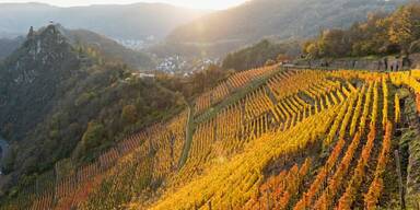 Weinberge