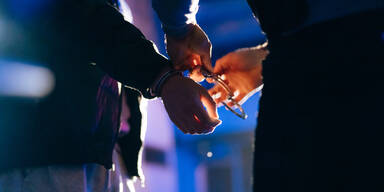 Cobra-Einsatz: Dealerbande festgenommen