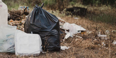 Tierquäler gesucht: Zwei tote Katzen in Müllsack entdeckt