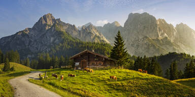 Sommer in den Alpen wird immer wärmer