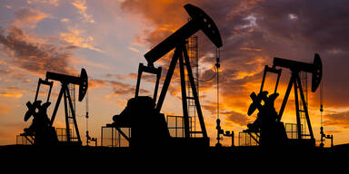 Österreich gibt Teil der Ölreserven frei