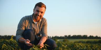 Bauernregel: "Ist’s um Amandus schön, ..."