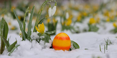 Frostern-Frust: Kommt jetzt das ersehnte Frühlings-Comeback?