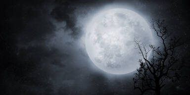 Vollmond im Nebel