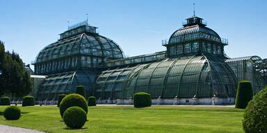 GettyImages-174689181_Palmenhaus.jpg