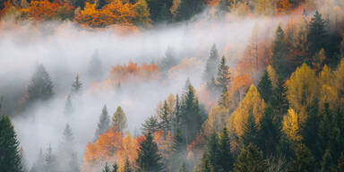 Völlig falsch! Darum liegt diese Bauernregel heuer komplett daneben