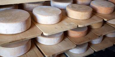 Käse