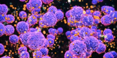 Laut WHO: Masern gelten in Österreich nicht mehr als eliminiert