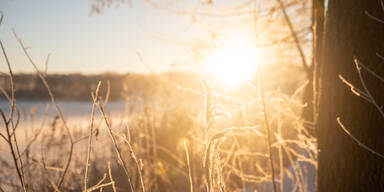 Laut Bauernregel: Das bedeutet ein sonniger Neujahrstag