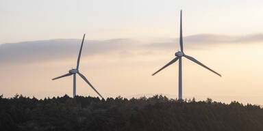 "Blanker Irrsinn": Riesen-Wirbel um geplante Windräder beim Bisamberg