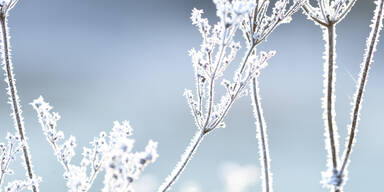 Diese Bundesländer rufen Kälte-Warnung aus