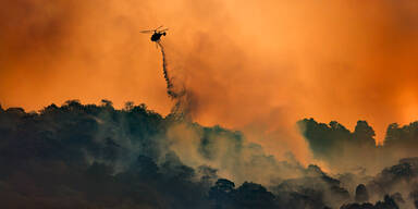 Waldbrand