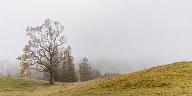 Bauernregel: "Viel Nebel im November ..."