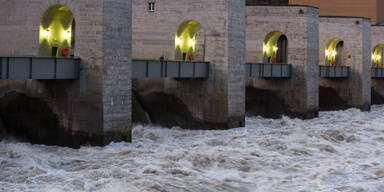 Feuerwehrmann bei Übung auf Donau verletzt