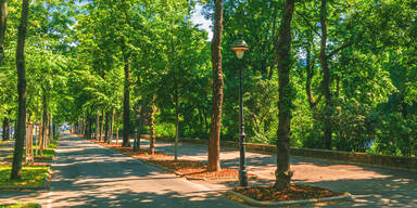 Mega-Projekt im Süden: Wien plant neuen Stadtteil mit großen Grünflächen