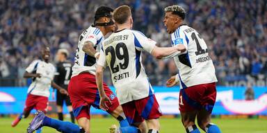 Leidenszeit vorbei: HSV ist zurück in der Bundesliga