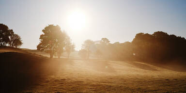 Bauernregel: "Um den Tag des Fridolin,..."