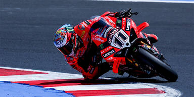 Bulega