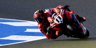 Bulega