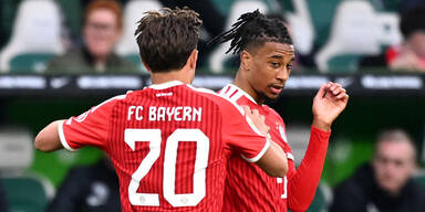 Olise-Traumtor rettet Bayern vor Blamage