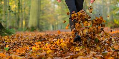 Herbstspaziergang