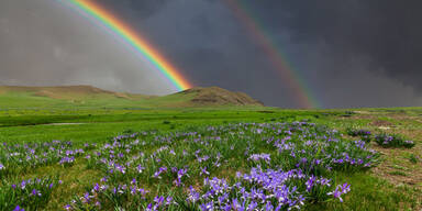 Regenbogen Bewölkt Frühling