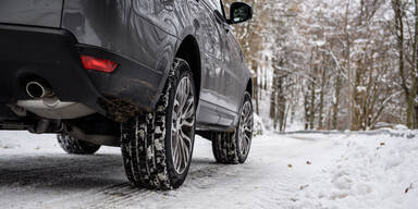 Kurios: Navi führte Holländer auf Langlauf-Loipe