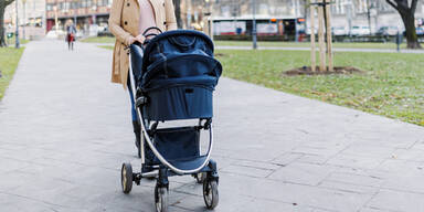 Nach Hundeattacke auf Kinderwagen: Gemeinde plant Abnahme der Tiere