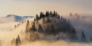 12 Grad! Es wird endlich wieder wärmer