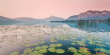 Mondsee bei Sonnenaufgang.jpg