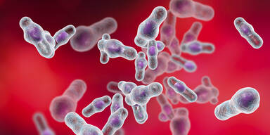 Strafantrag gegen drei Personen nach Legionellen-Fällen