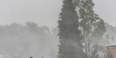 Gewitter_Header.png