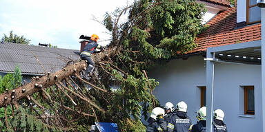 Unwetter in NÖ