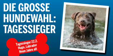 HW_Tagessieger0222_Konsole.png