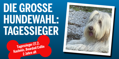 HW_Tagessieger0227_Konsole.png