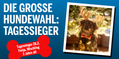 HW_Tagessieger0228_Konsole.png