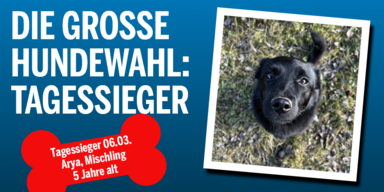 HW_Tagessieger0306_Konsole.png
